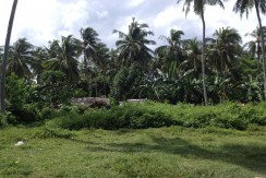 LOT FOR SALE IN PITALO SAN FERNANDO CEBU