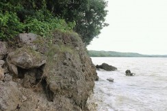 Beach Lot for Sale in Maobog, Tabogon, Cebu