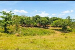 Farm Lot for Sale in Bangad, Masbate