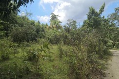 Farm Lot for Sale in Balamban, Cebu