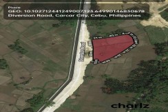 Lot for Sale in Carcar Cebu along Diversion Road across Buss