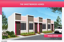 For Sale Sweetberries Community in Balamban Cebu