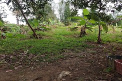 Farm Lot for Sale in Barangay Adlaon, Cebu City